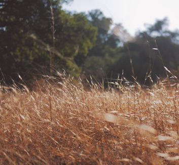 体操项目中选手们精湛表演赢得掌声