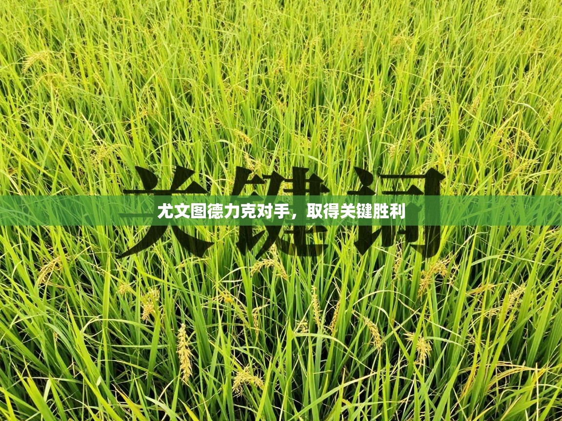 尤文图德力克对手，取得关键胜利