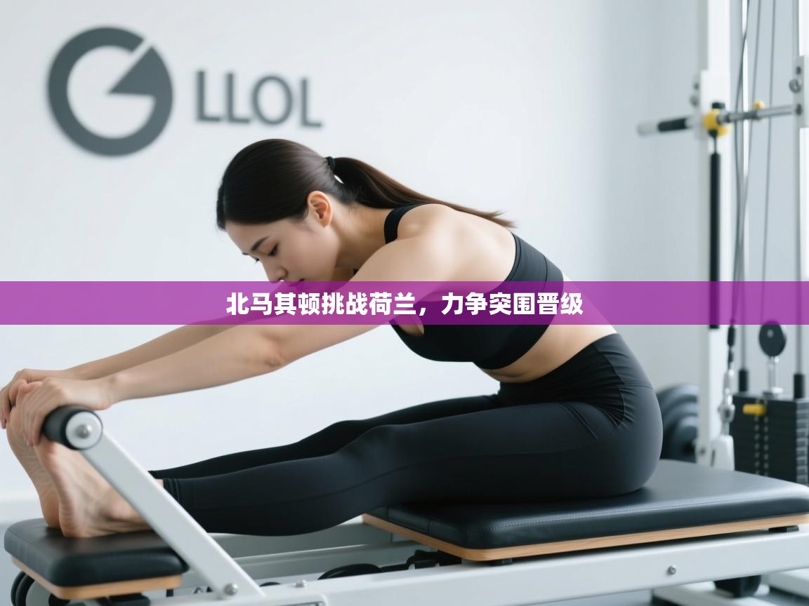 北马其顿挑战荷兰，力争突围晋级  第2张