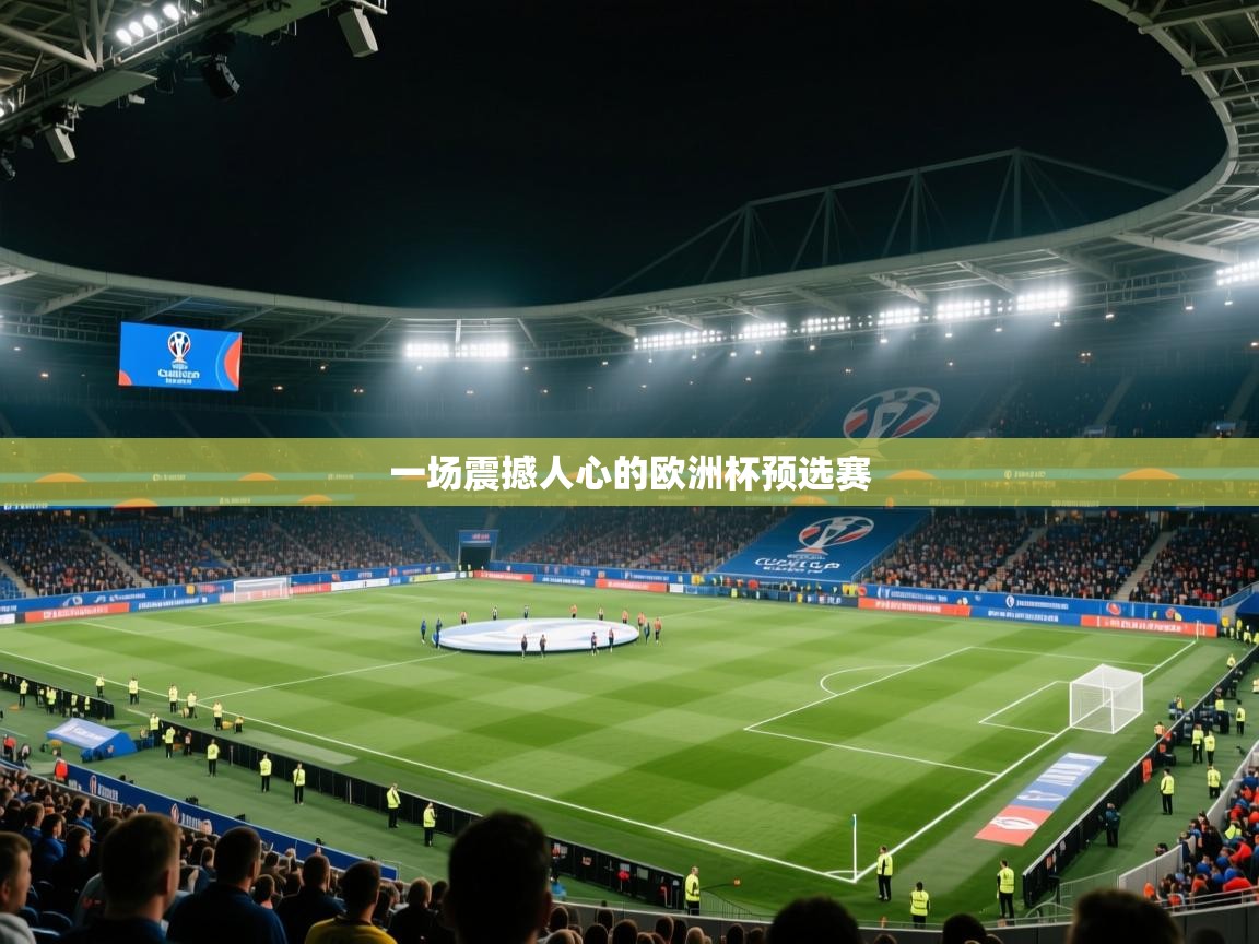 一场震撼人心的欧洲杯预选赛  第1张