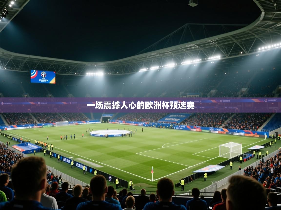 一场震撼人心的欧洲杯预选赛  第2张