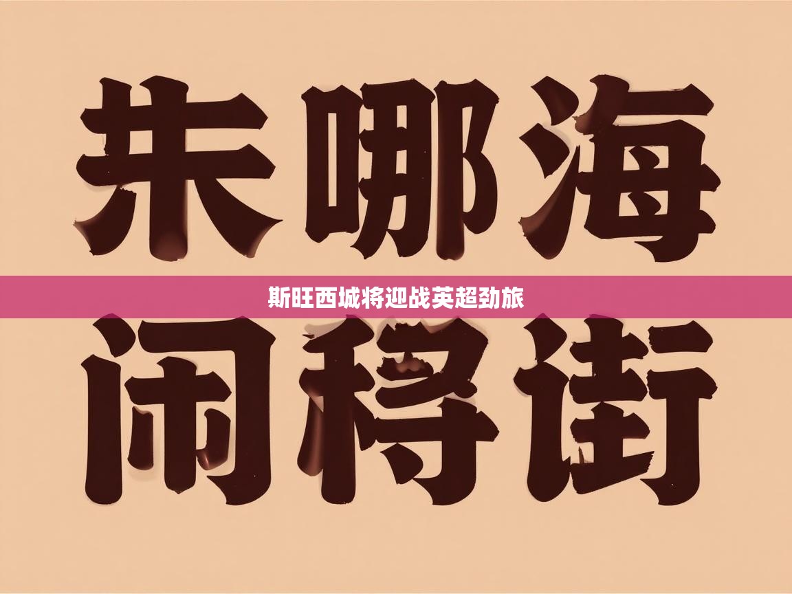 斯旺西城将迎战英超劲旅 第2张