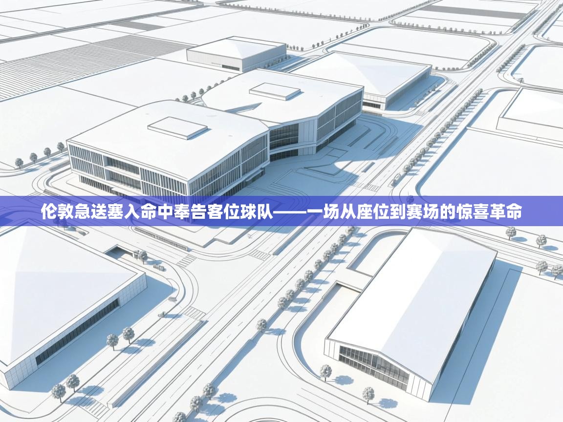 伦敦急送塞入命中奉告客位球队——一场从座位到赛场的惊喜革命